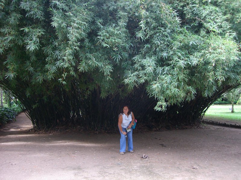 CIMG6534.JPG