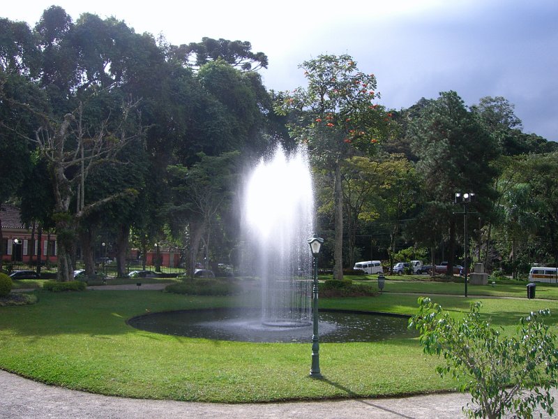 CIMG6608.JPG